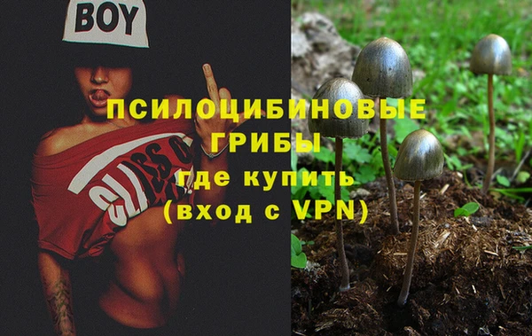 гидропоника Алзамай