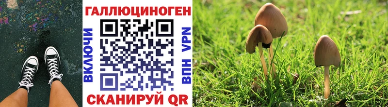Галлюциногенные грибы MAGIC MUSHROOMS  как найти наркотики  это Telegram  Звенигово 